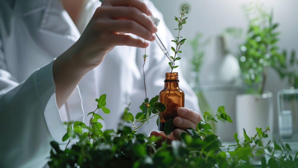 What Is Ayurvedic Skincare? A Clear, Evidence-Based Guide