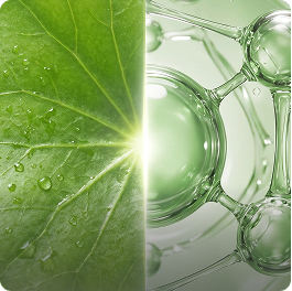 Biotique Professional