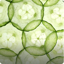 Biotique Professional